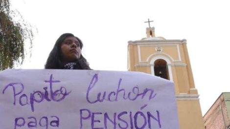 Ministro Del Castillo critica a padres detenidos por asistencia familiar