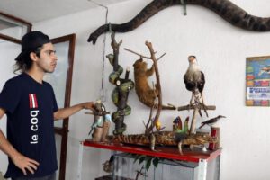 Taxidermista en Bogotá convierte mascotas en arte