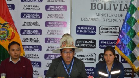 Rueda de negocios impulsa acuerdos entre productores de asaí y empresas agroindustriales