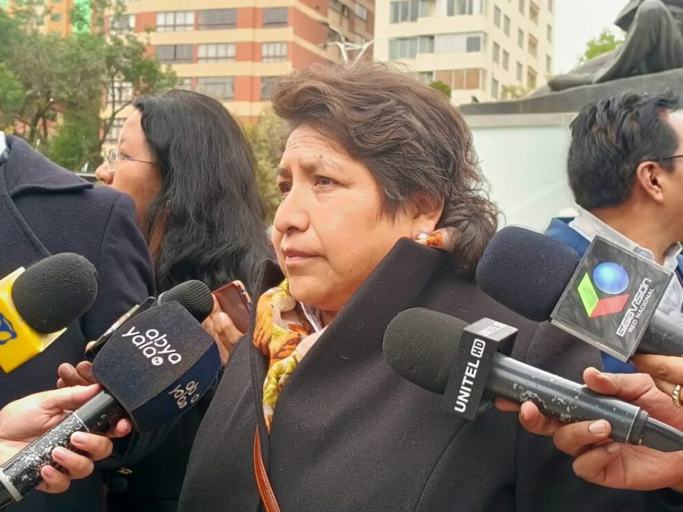 nuevo congreso del MAS según Dina Chuquimia