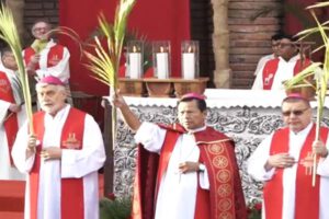 Domingo de Ramos en Bolivia con el Arzobispo Leigue