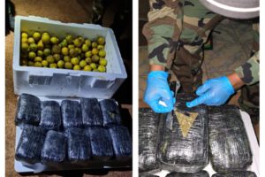 marihuana camuflados en naranjas