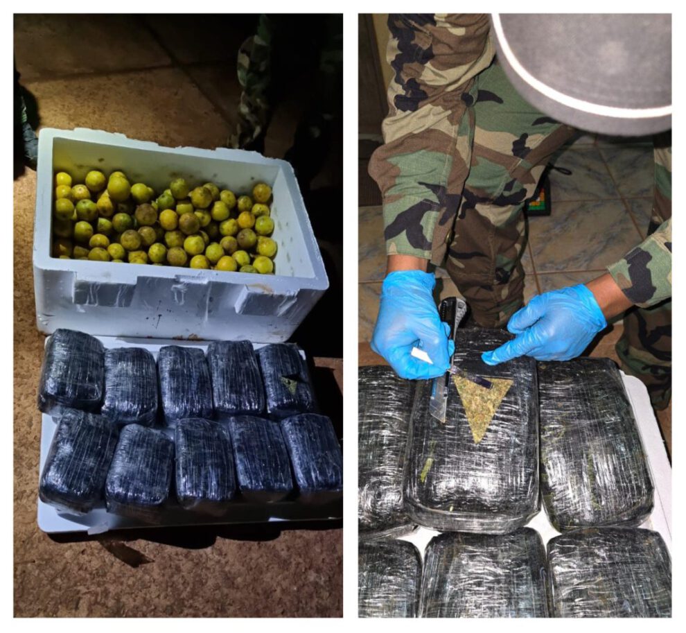 marihuana camuflados en naranjas