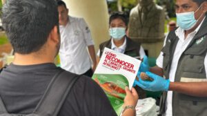 Campaña fitosanitaria sobre el caracol gigante africano en Trinidad