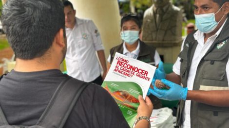 Campaña fitosanitaria sobre el caracol gigante africano en Trinidad