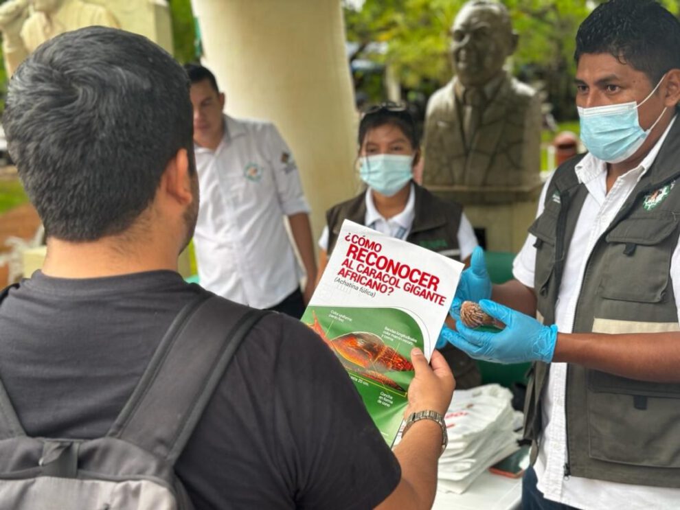 Campaña fitosanitaria sobre el caracol gigante africano en Trinidad
