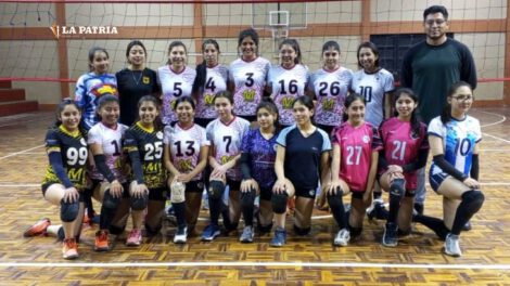 Liga Promocional de Voleibol con Avidal y Santa Ana
