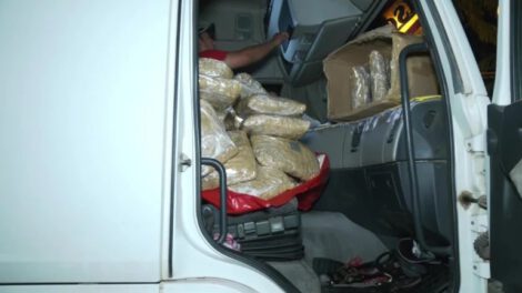 Detienen camión con marihuana en ruta hacia Santa Cruz