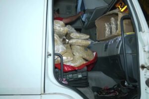 Detienen camión con marihuana en ruta hacia Santa Cruz