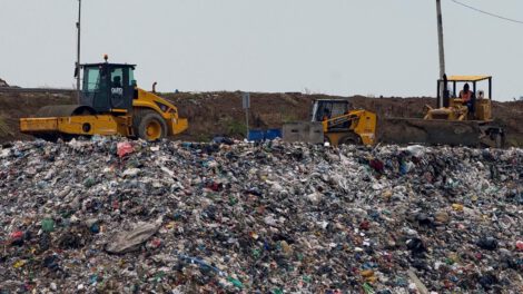 Desperdicio de alimentos en el mundo