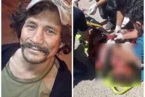 Vinchita atropellado en Santa Cruz