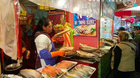 Control de calidad de pescado durante Semana Santa