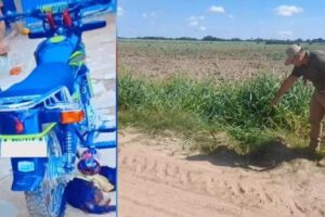 Aprehenden a jóvenes por herir y robar a motociclista