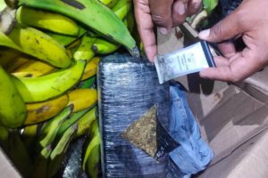 Marihuana camuflada en cajas de fruta