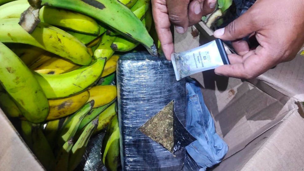 Marihuana camuflada en cajas de fruta