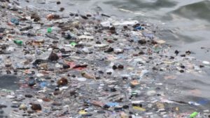 Contaminación por plástico en océanos