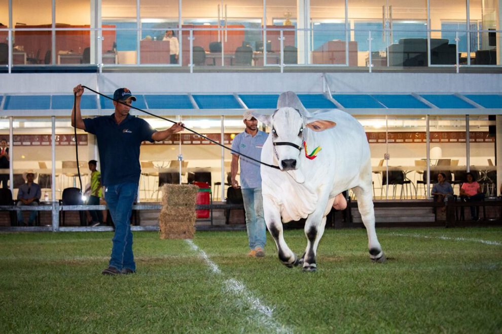 Agropecruz: Innovación y ganadería se unen en esta celebración agropecuaria