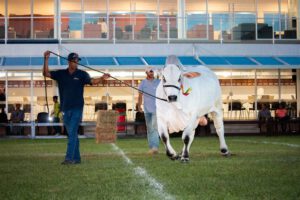Agropecruz: Innovación y ganadería se unen en esta celebración agropecuaria