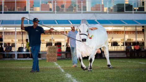 Agropecruz: Innovación y ganadería se unen en esta celebración agropecuaria