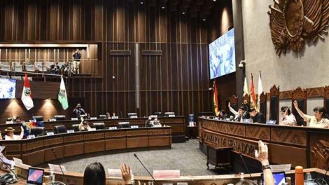 ascensos en FFAA y Policía aprobados por la Cámara de Senadores