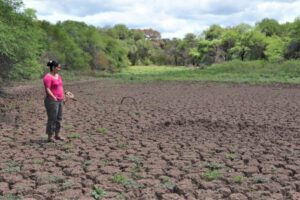 Emergencia por sequía en Santa Cruz