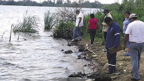 Sentencia del TCP sobre la propiedad de la familia Marinkovic en San José de Chiquitos