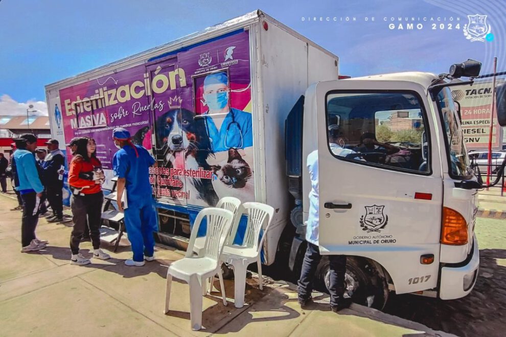 campaña de esterilización en Oruro