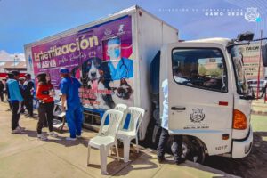 campaña de esterilización en Oruro