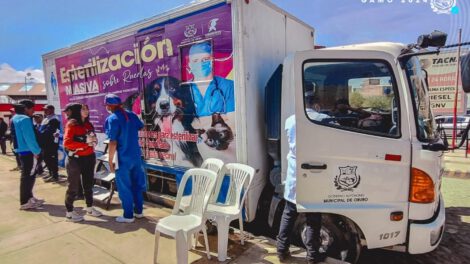 campaña de esterilización en Oruro