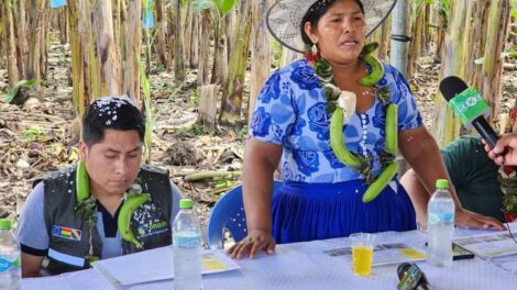 Empacadoras de banano entregadas por Fonadin en Puerto Villarroel
