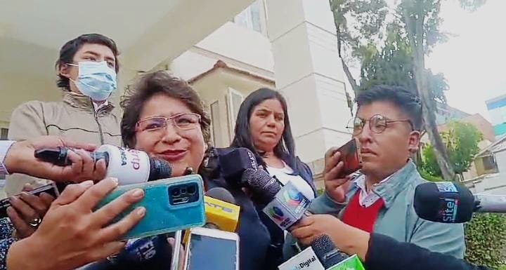 Destitución de Dina Chuquimia en el TSE