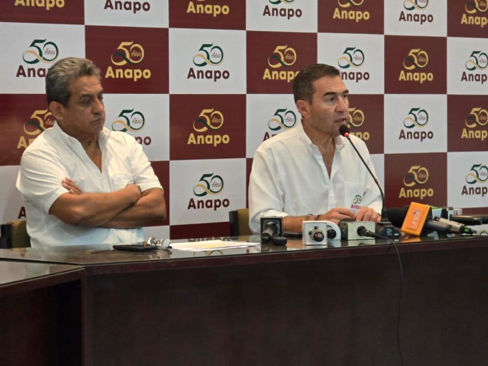 Crisis en la producción de soya en Bolivia