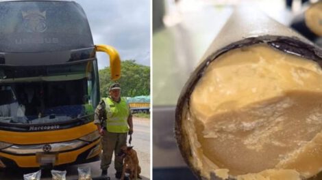 microaspirado de buses involucrados en investigación de droga camuflada