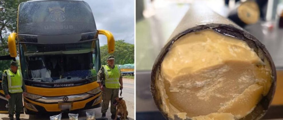 microaspirado de buses involucrados en investigación de droga camuflada