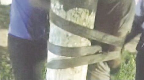 Robo e intento de violación en San Germán