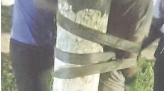 Robo e intento de violación en San Germán