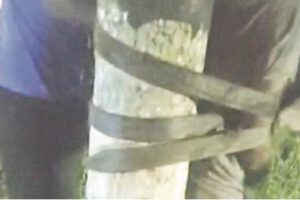 Robo e intento de violación en San Germán