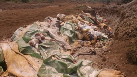 Genocidio de Ruanda y condena a Beatrice Munyenyezi