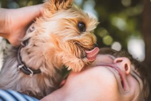 Bacterias resistentes en mascotas y su transmisión a humanos