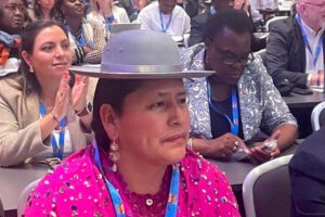 Interrupción voluntaria del embarazo presentada por la senadora Virginia Velasco