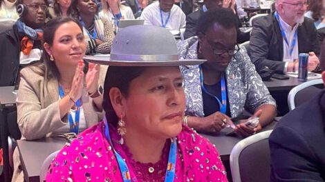 Interrupción voluntaria del embarazo presentada por la senadora Virginia Velasco