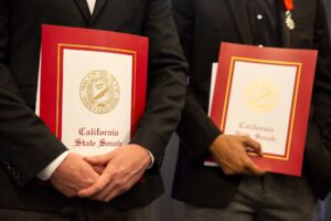 Demócratas rechazan delito grave sobre compra de niños