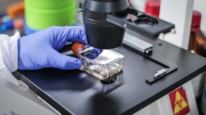 Genética del trastorno de estrés postraumático