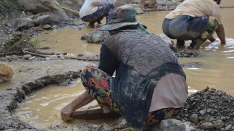 Contratos auríferos en áreas rurales y su impacto ambiental