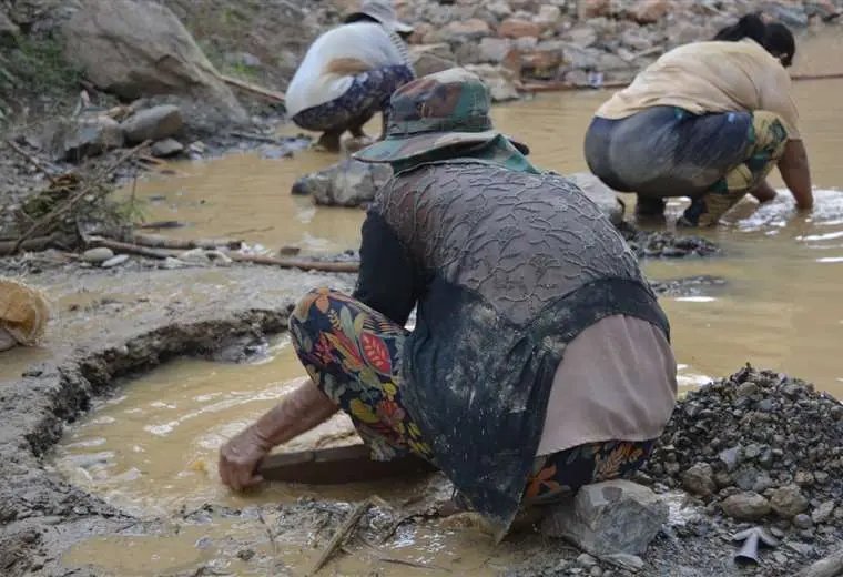Contratos auríferos en áreas rurales y su impacto ambiental