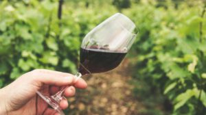 Locura por el vino tarijeño durante Congreso universitario