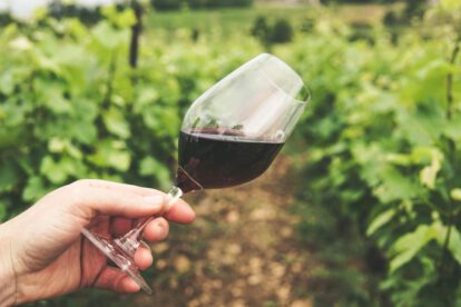 Locura por el vino tarijeño durante Congreso universitario