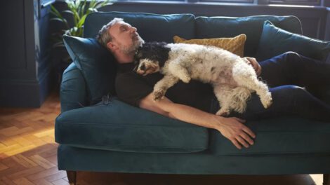 Dormir en el sofá y su relación con la calidad del sueño