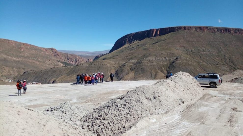 Niveles alarmantes de plomo en la sangre en Cantumarca