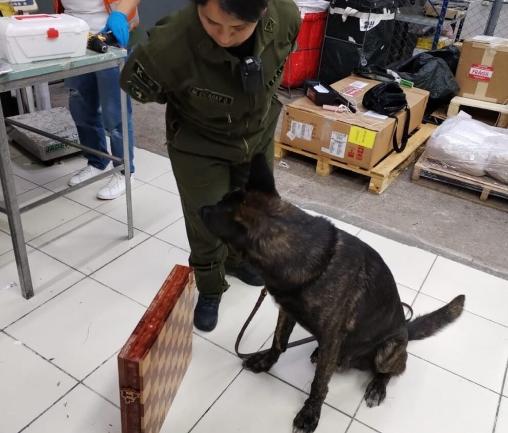 Perro antinarcóticos detecta cocaína oculta en tablero de ajedrez
